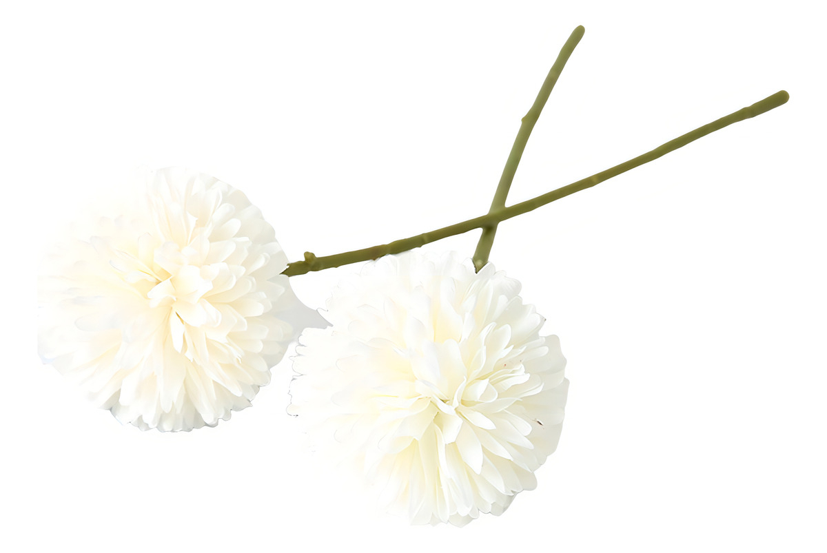 D_600777-MLA99595479044_122025-F.jpg Flor Diente De León Bola De Flor Color Blanco - Imagen 1