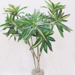 Ramo 75 Cm Palmera Artificial Bambú Tropical Para Decorar - Imagen 4