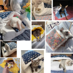 Almohadon Cama Cucha Para Mascotas Cuna Gatos O Perros - Imagen 5