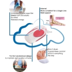 Talonera De Gel Silicona Deporte Trabajo Punto Rojo Y Azul - Imagen 4