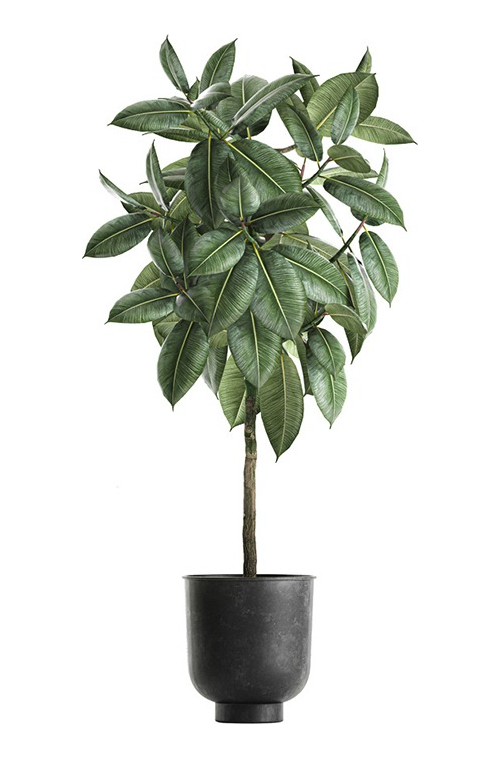 D_669766-MLU72684362037_112023-F.jpg Vinilo Decorativo De Pared Planta En Maceta - Imagen 1