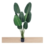 Planta Artificial Banano Con Maceta Decoración Chica - Imagen 3