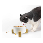 Comedero Bebedero Mascota Elevado Ceramica Base Madera - Imagen 14