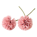 Flor Diente De León Bola De Flor - Imagen 11