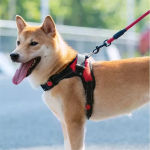 Pretal Arnés Para Perro Mascota S A Xl Anti Tirones - Imagen 4