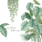 Vinilo Decorativo De Pared Plantas - Imagen 3