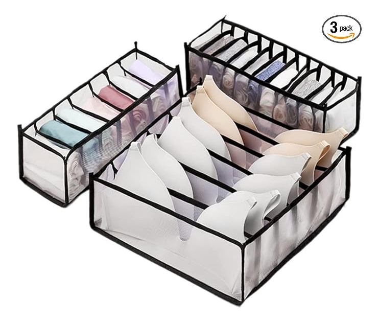 D_694344-MLU81060752124_122024-F.jpg Organizador De Ropa Interior Y Medias 6 Divisiones - Imagen 1