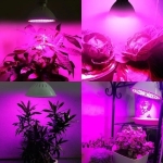 Lamparas 200 Led 120 Grados Espectro Cultivo Plantas Flores - Imagen 5
