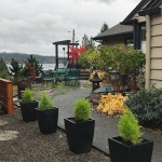 Maceta Cuadrada Moderna Jardín - Imagen 7