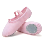 Ballet Zapatilla De Lona Perfectas De Entrenamiento - Imagen 5