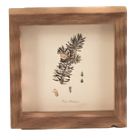 Portarretrato Foto Marco Cuadro Madera Minimalista Grande - Imagen 7