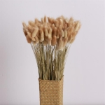 Planta Seca Artificial Decoracion Cola De Conejo Ramo 55cm - Imagen 4