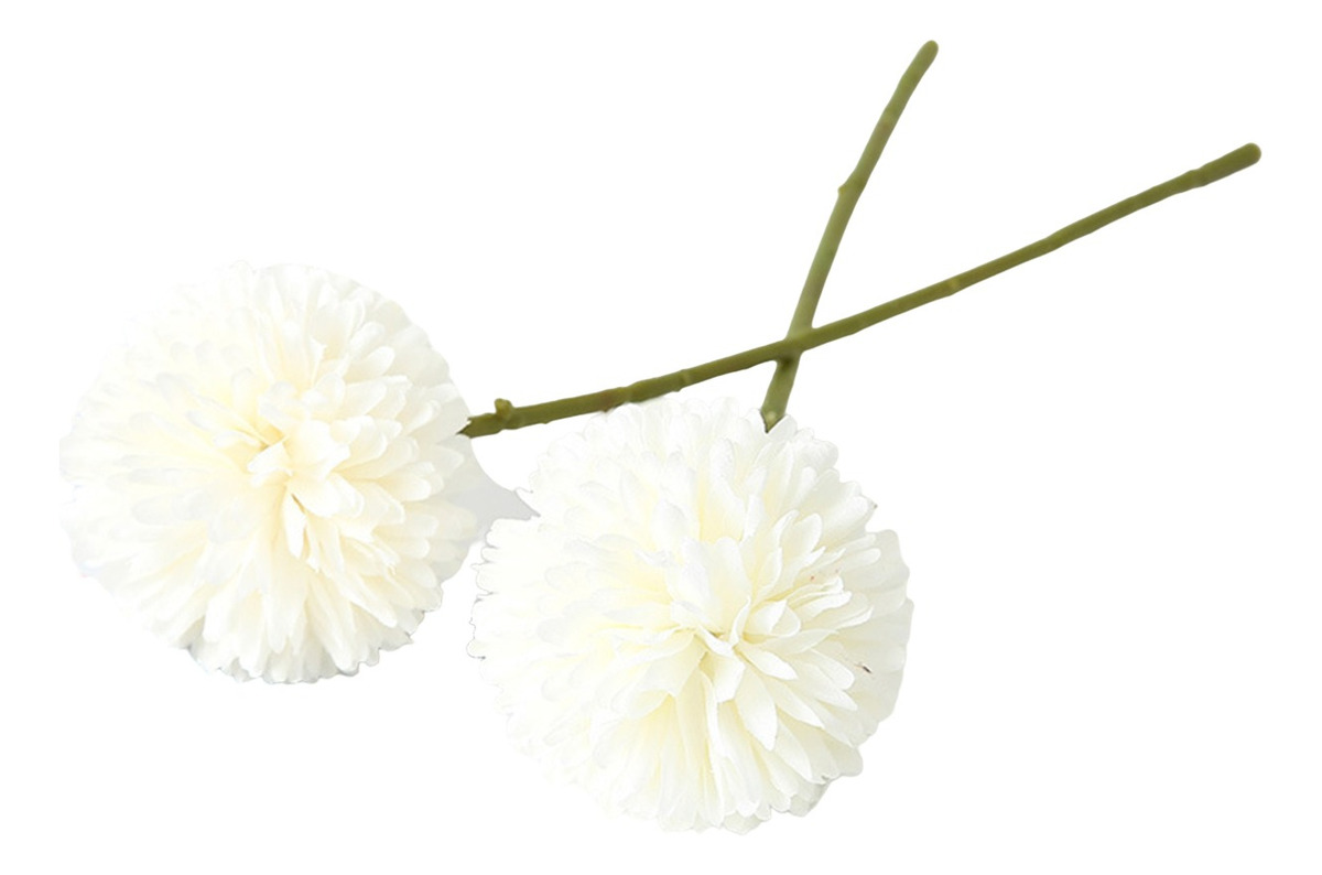 D_762942-MLU74938790472_032024-F.jpg Flor Diente De León Bola De Flor - Imagen 1