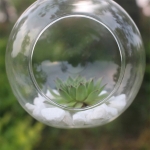 Florero Vidrio Colgante Chico 8 Cm - Imagen 4