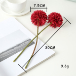 Flor Diente De León Bola De Flor - Imagen 14