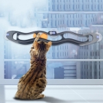 Juego Para Gatos Movimiento Pelota - Imagen 5