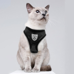 Arnes Pretal Pecho Ajustable Mascota Perro Gato + Correa - Imagen 11