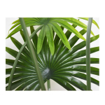 Planta Artificial En Maceta Simil Palma 180cm Mayoristas Uruguay - Imagen 3