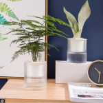 Maceta Para Hidroponía 15 Cm Plantas Jardín Decoración - Imagen 6