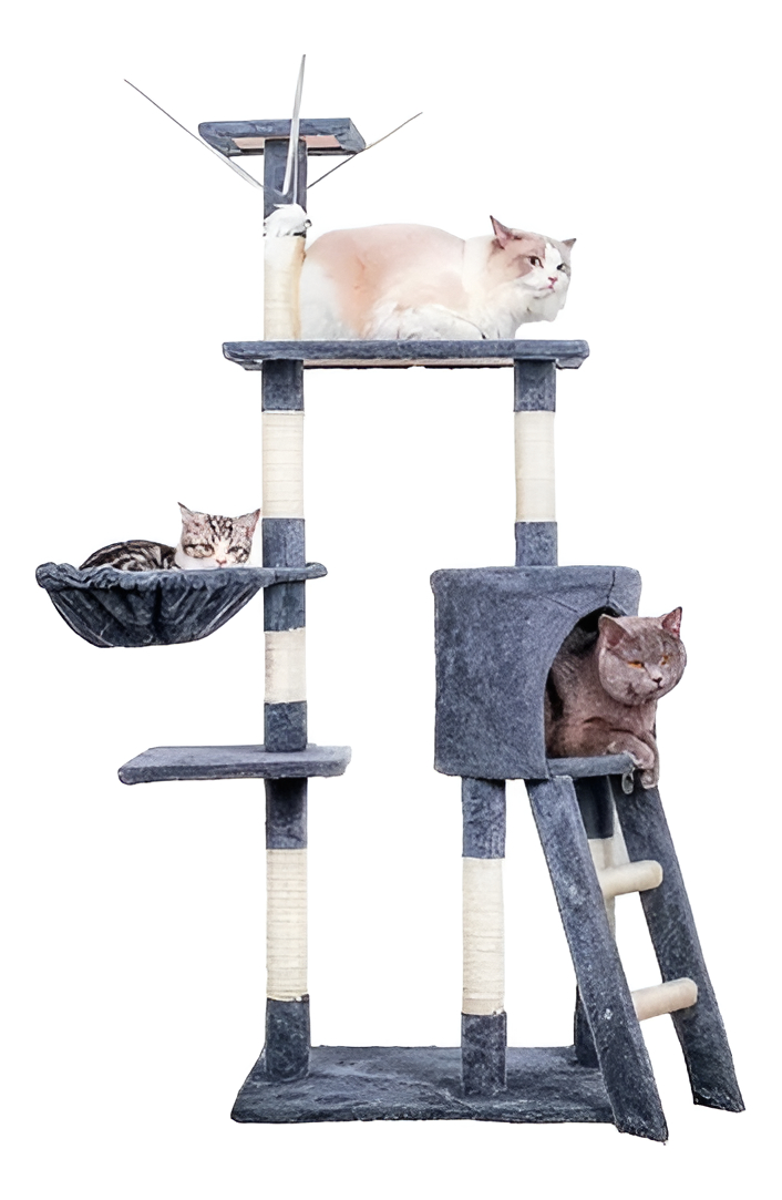 D_819107-MLU97124217881_112025-F.jpg Torre Rascador 5 Niveles Para Gatos Juego - Imagen 1