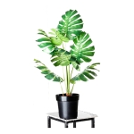 Hojas Artificiales Costilla Adán 70x30cm Flores,plantas - Imagen 5