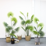Planta Artificial En Maceta Simil Palma 180cm Mayoristas Uruguay - Imagen 2