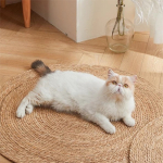 Alfombra Redonda De Rattan Chica Sala De Estar Dormitorio Diseño De La Tela Beige - Imagen 8