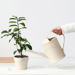 Regadera Plástica Para Jardín 2lts Plantas Interior Deco - Imagen 6