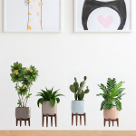 Vinilo Decorativo De Pared Macetas - Imagen 2