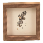 Portarretrato Foto Marco Cuadro Madera Minimalista Chico - Imagen 7