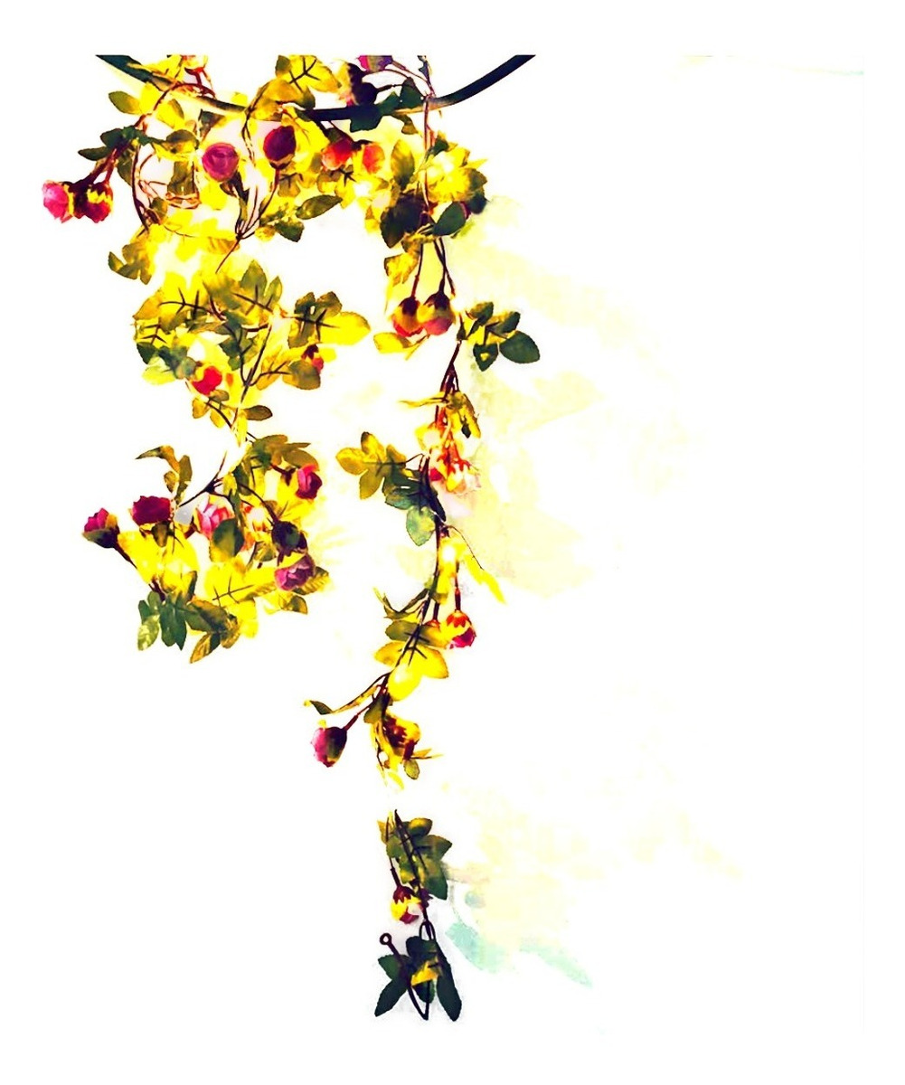 D_860896-MLU48495203797_122021-F.jpg Guirnalda Con Luces En Forma De Rosas Guía Led Flores - Imagen 1