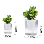 Maceta Para Hidroponía 15 Cm Plantas Jardín Decoración - Imagen 2