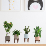 Vinilo Decorativo De Pared Macetas - Imagen 4