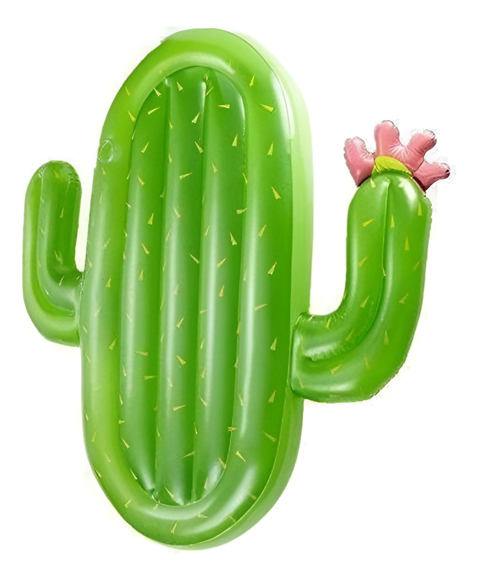 D_876604-MLU97162000079_112025-F-1.jpg Colchonetas Inflables Gigantes Piscina Playa Flotador Cactus - Imagen 1