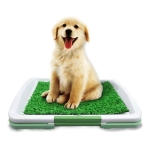 Baño Sanitario Para Perros Gatos Bandeja Cesped Mascotas