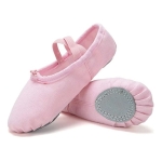 Ballet Zapatilla De Lona Perfectas De Entrenamiento - Imagen 9