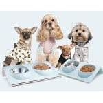 Comedero Y Bebedero Para Perros Gatos Doble Moderno - Imagen 10
