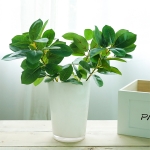 Ramo Planta Artificial Para Decorar 41cm De Largo - Imagen 2