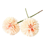 Flor Diente De León Bola De Flor - Imagen 6