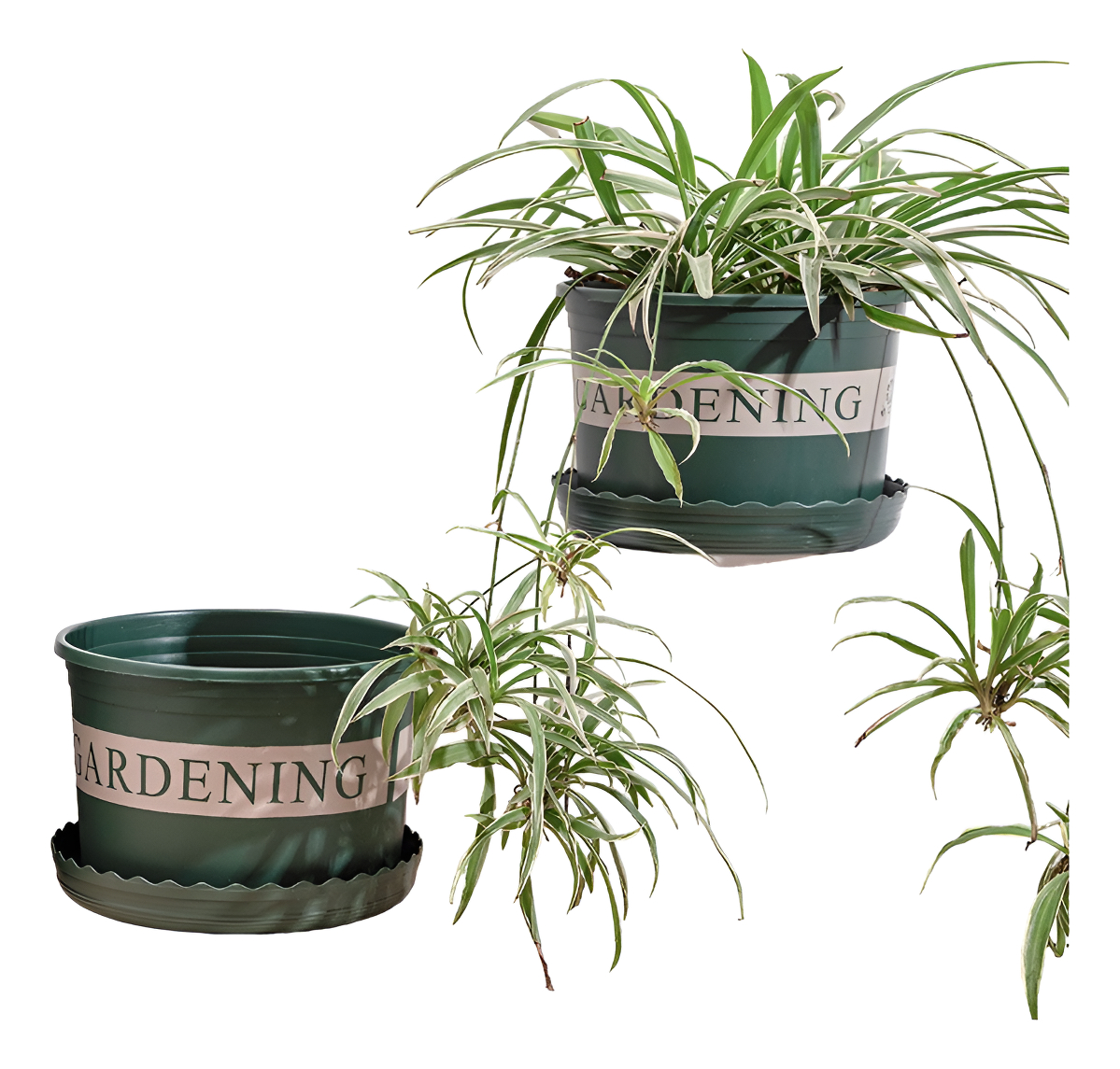 D_925845-MLU92199492262_092025-F.jpg Maceta Redonda En Plastico Decorativa Jardineria 20cm - Imagen 1