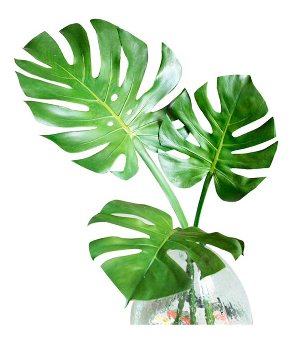 D_936083-MLU40243729975_122019-F.jpg Hojas Artificiales Costilla Adán 70x30cm Flores,plantas - Imagen 1