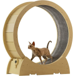 Rueda Giratoria Para Gatos Deporte Juguete - Imagen 2
