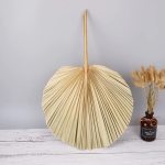 Hoja De Palma Seca Estilo Abanico Decoracion Moderna Natural - Imagen 6