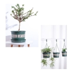 Maceta Redonda En Plastico Decorativa Jardineria 24cm - Imagen 6